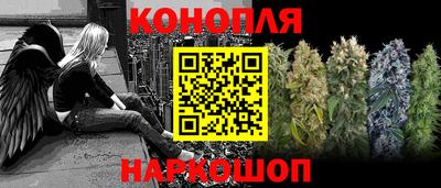 альфа пвп Новодвинск