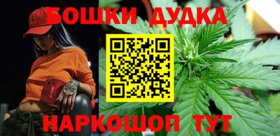 альфа пвп Новодвинск
