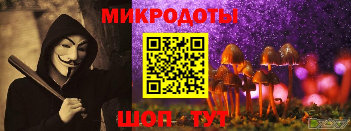 Псилоцибиновые грибы Cubensis  Вход с VPN  Севастополь 
